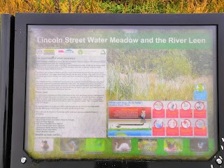 Lincoln Street Water Meadows