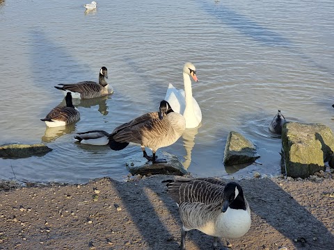 Poolsbrook Country Park