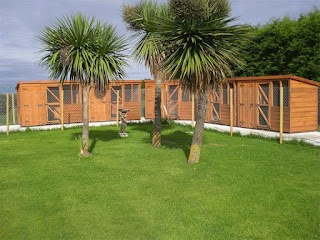 Waggy Tails Boarding Kennels