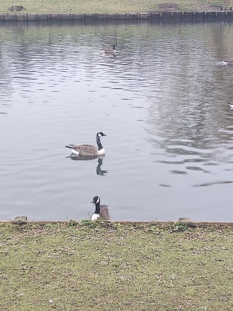 Smethwick Hall Park