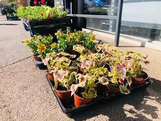 Busy Bees Supermarket Sileby