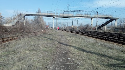 ТОВ ЗАКАРПАТСЬКИЙ БУДІВЕЛЬНИК