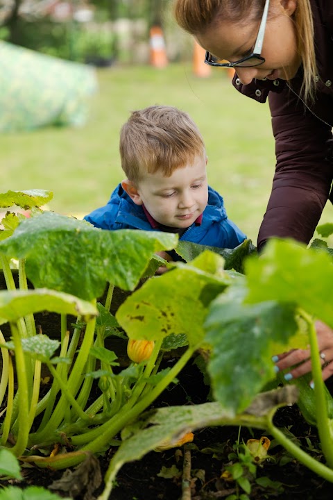 Appledore Nursery