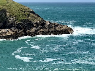 Cornish Sea Tours