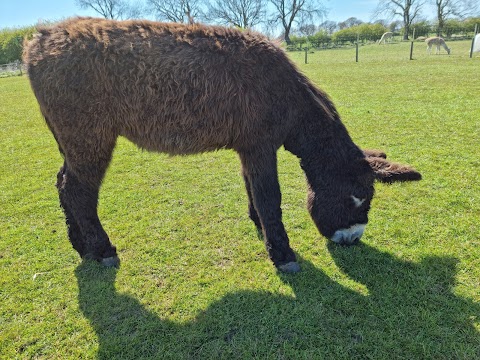 Northumberland Zoo