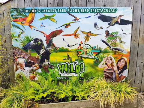 Wild Zoological Park