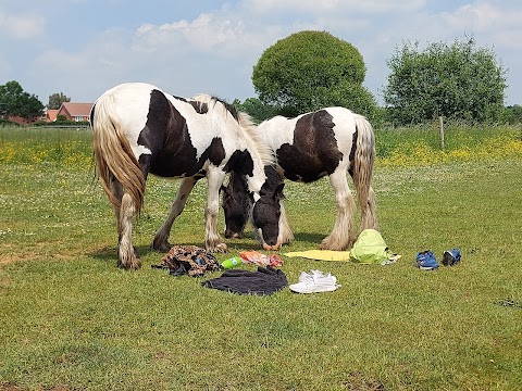 Bowthorpe Southern Park