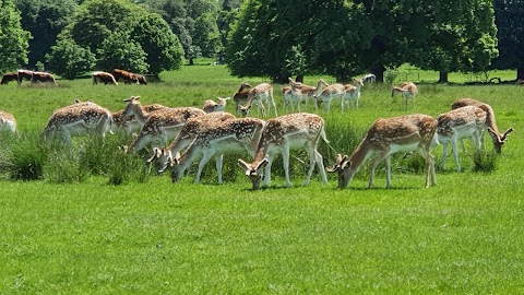 National Trust - Attingham Park