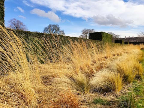 Saughton Park