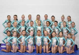 The Dance & Gymnastics Academy