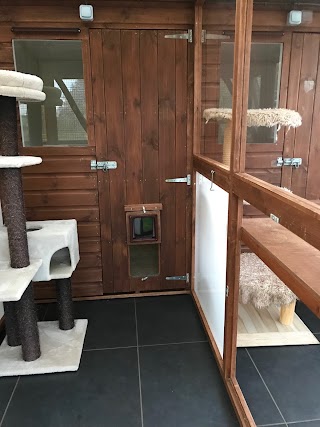 Lakeside Luxury Cattery & Small Animal Hotel