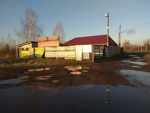 "Залізний магазин"