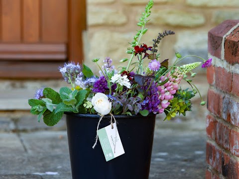 Field Gate Flowers