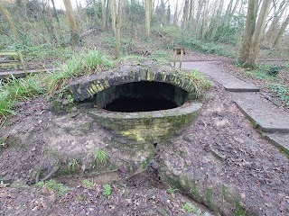 Silver Street Local Nature Reserve