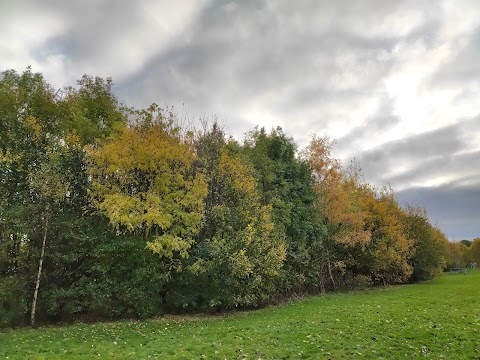 Oak Road Playing Fields