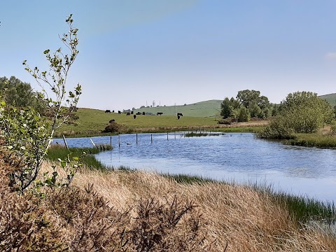 Waun-Y-Llyn Country Park