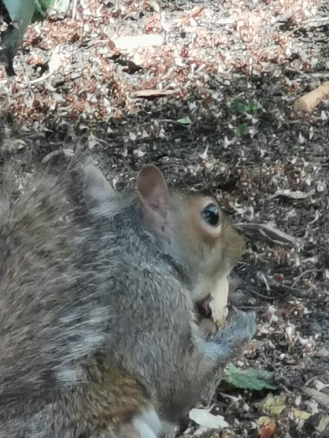 West Park Aviaries