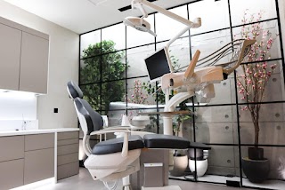 Treehouse Dental