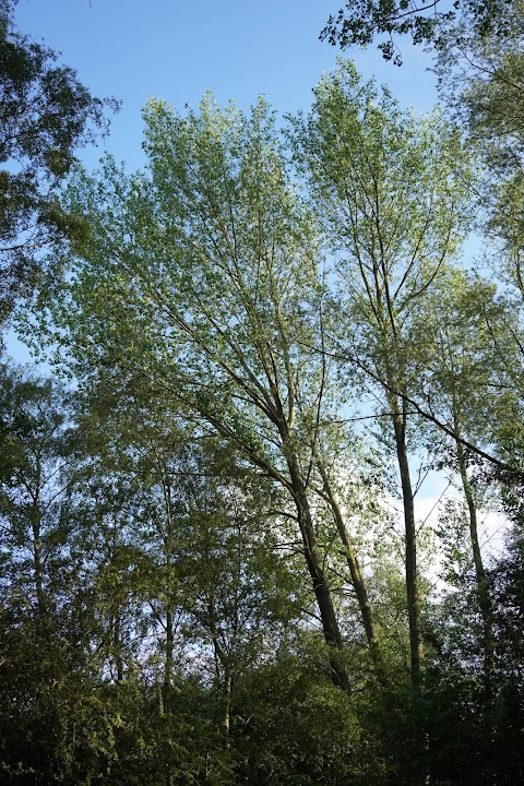 St Chad's Nature Reserve