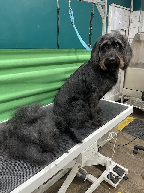 The Hound Dog Grooming Spa