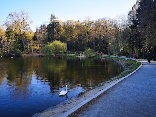 Hillsborough Forest & Car Park