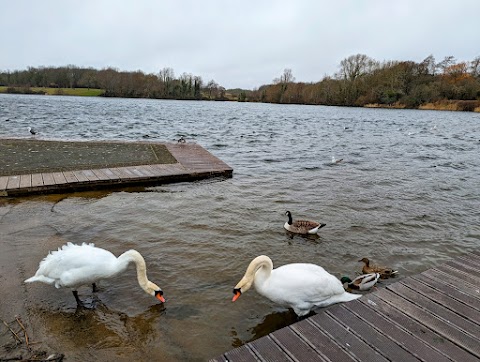 Cosmeston Medieval Village