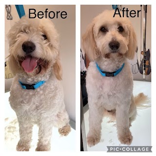 Scrub-a-Dub Dog Grooming