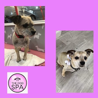 The Dog Spa UK