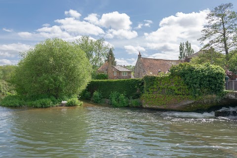 Harnham Water Meadows