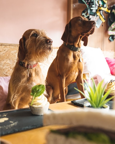 Kibble Bakery Coffee House - Hebden Bridge