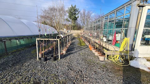 Loch Hills Plant Centre