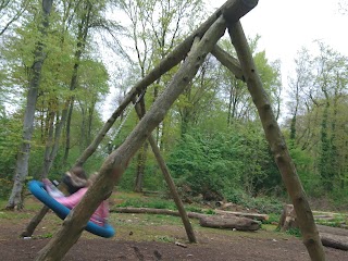 Woods play park. Spiders Web