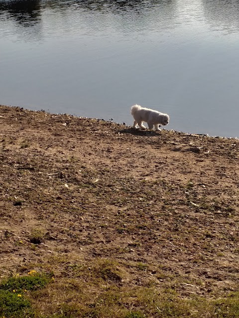 High Eske Nature Reserve