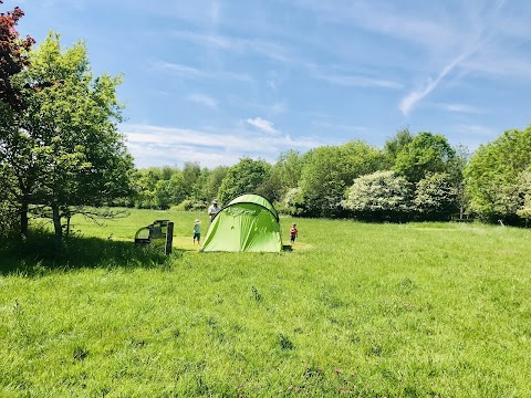 The Little Wild Wellie Campsite