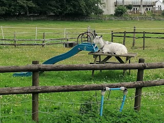 The Tamar Valley Donkey Park