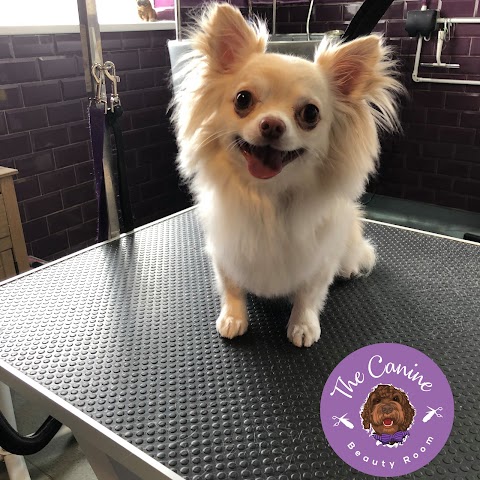 The Canine Beauty Room Dog Grooming Salon and Spa Altrincham