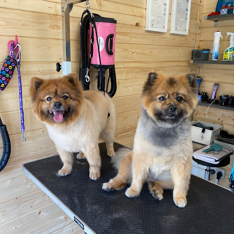 The Laundromutt Professional Dog Grooming