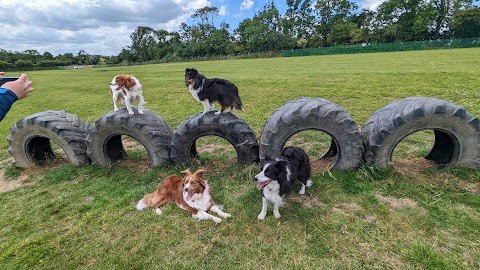Molescroft Manor Secure Dog Walking Field