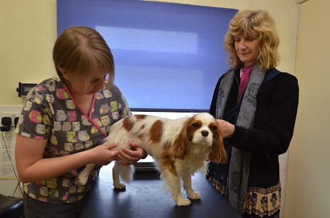 Orchard Veterinary Centre