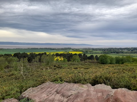 Thurstaston Hill