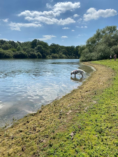 Bewl Water