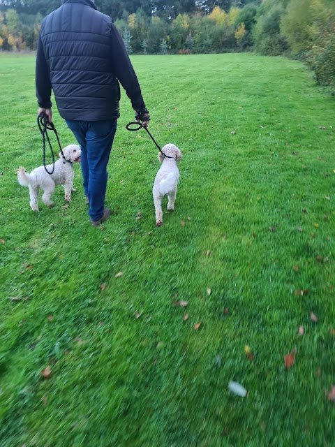 Watnall Training Services & Dog Walking A Need to Lead - serving NG16/ NG15 & surrounding area's