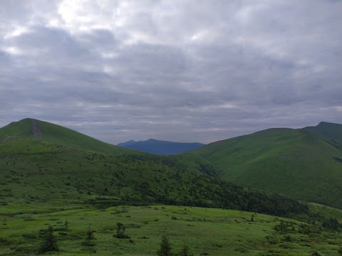 Гостинний двір "Альпіна"