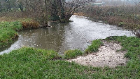 River Darent, Westminster Fields