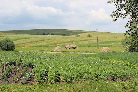 Вербицька ЗОШ І-ІІ ступенів