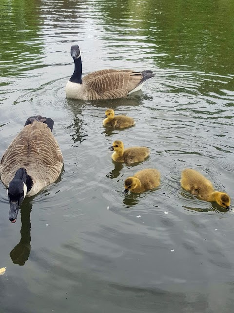 The Lakeside Cafe