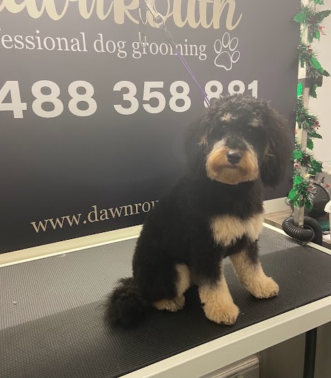 Dawn Routh Professional Dog Grooming