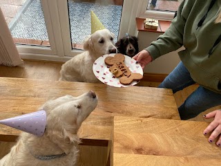 Pawsome Bites 'n' Bakes