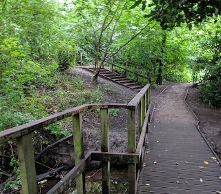 Moseley Bog