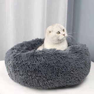 Cat Bed Shop